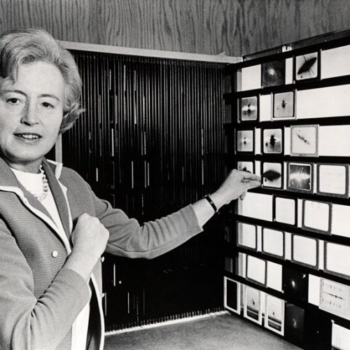 マーガレットバービッジの画像